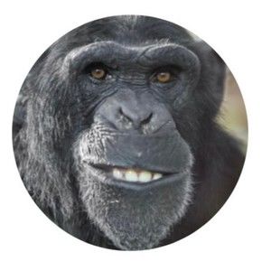 Meet your Posher, Dylan